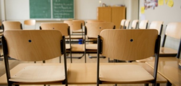 Съдържание от Партия на ЗЕЛЕНИТЕ Партия на ЗЕЛЕНИТЕ предлага специална